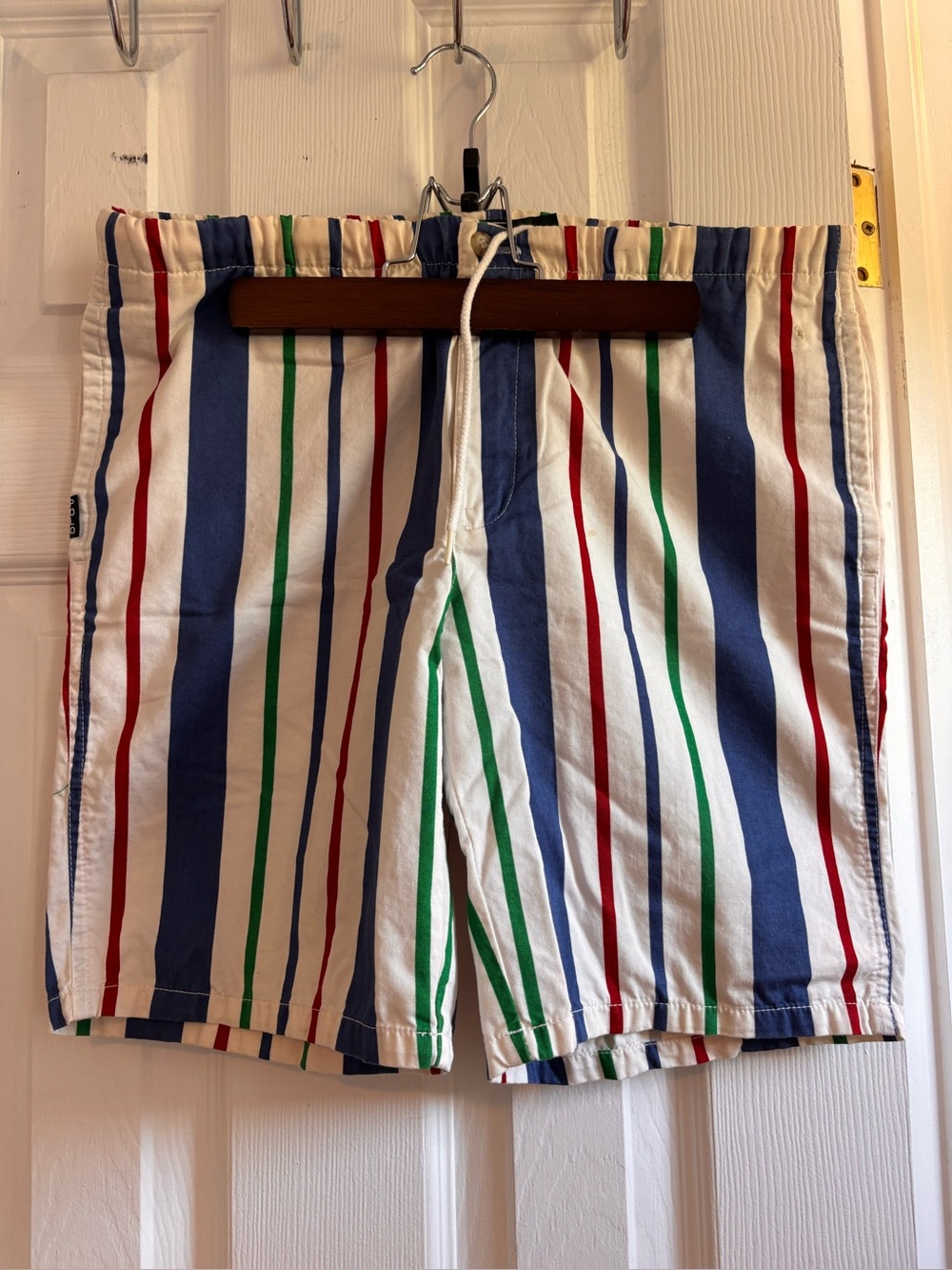 Polo by Ralph Lauren Men's Multicolor Vertical Stripe Shorts